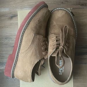 Little boy Sperry shoes size 13